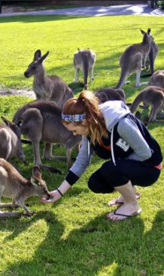 TOUR SYDNEY – CANBERRA – MELBOURNE