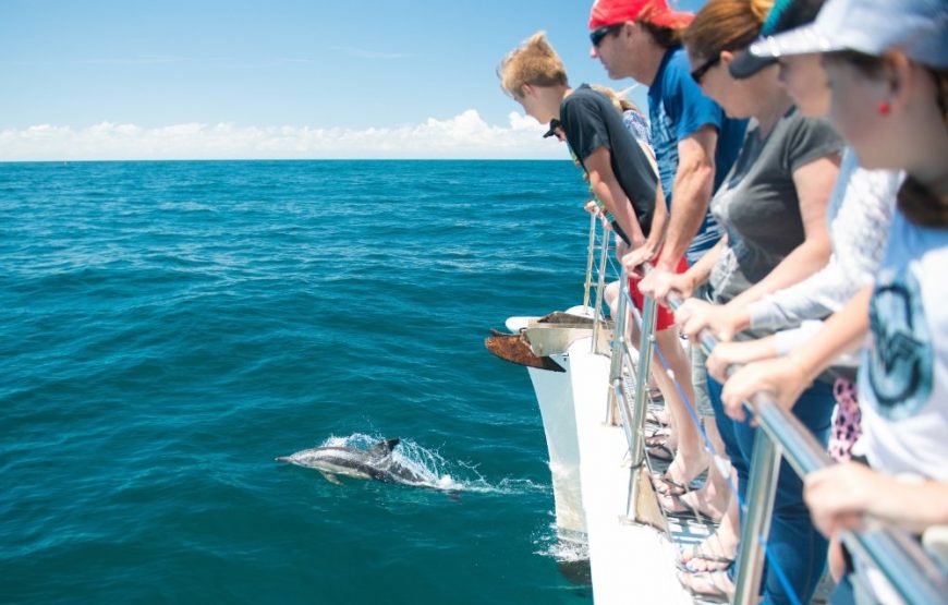 TOUR CƯỠI LẠC ĐÀ TẠI NELSON BAY