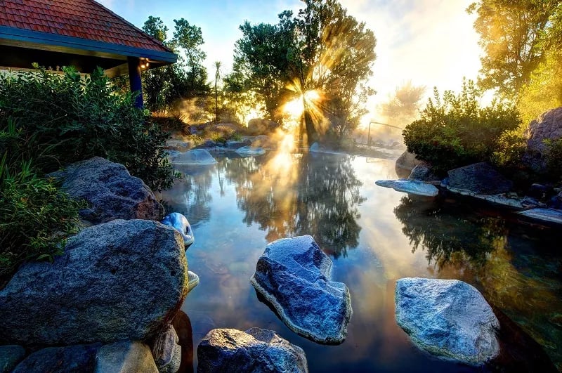 TOUR NEW ZEALAND