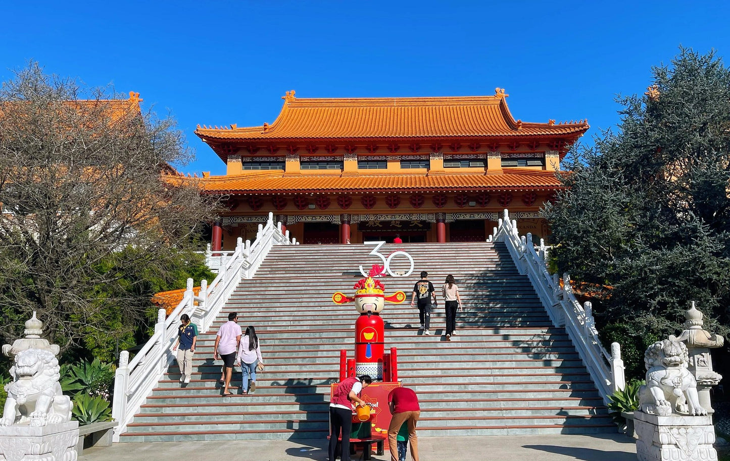 TOUR BIỂN WOLLONGONG