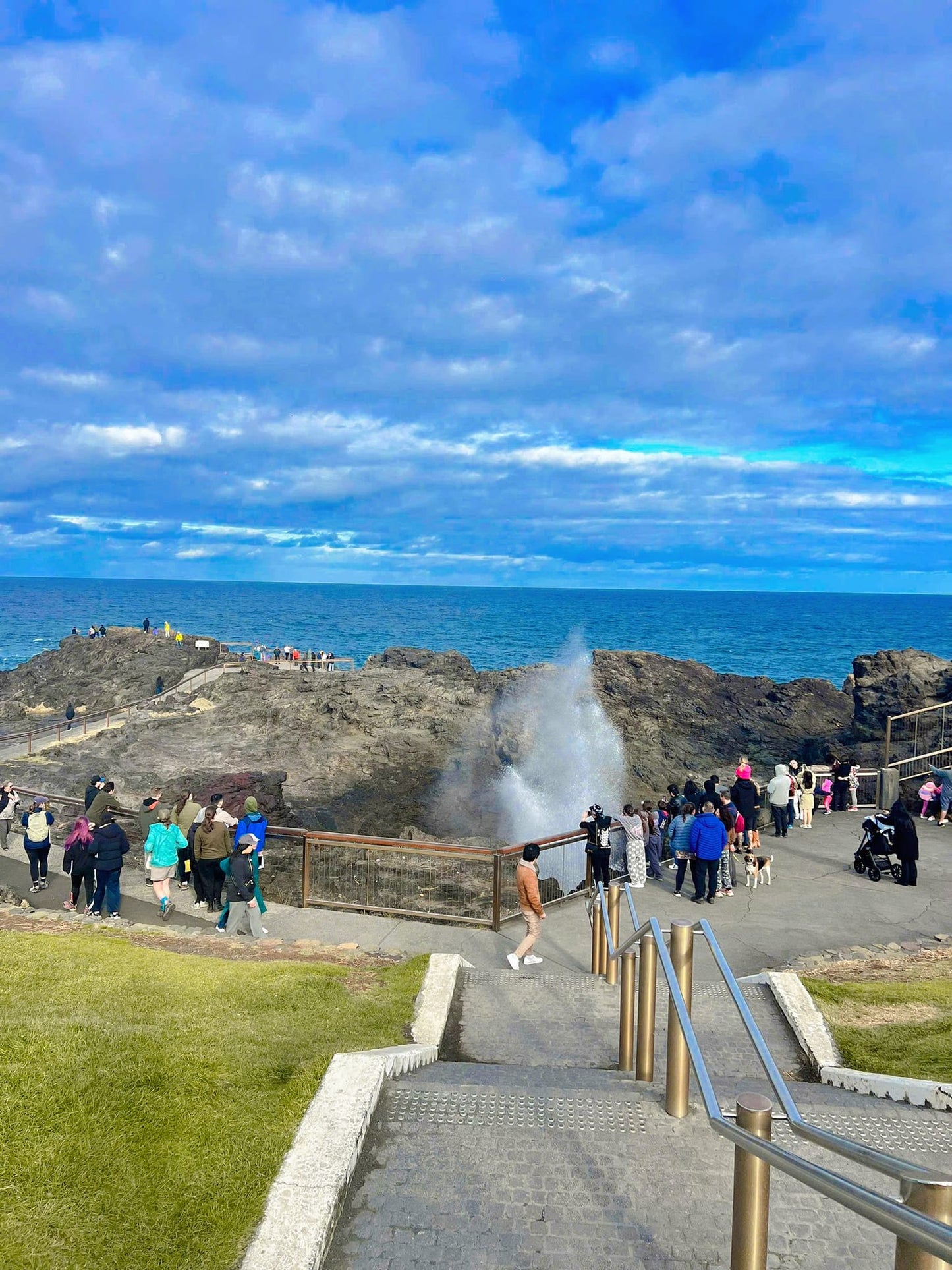 TOUR BIỂN WOLLONGONG