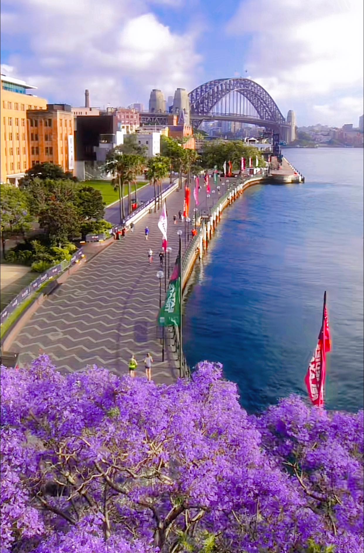 TOUR SYDNEY CITY
