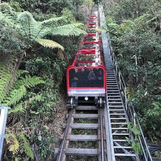 TOUR RỪNG NÚI BLUE MOUNTAINS