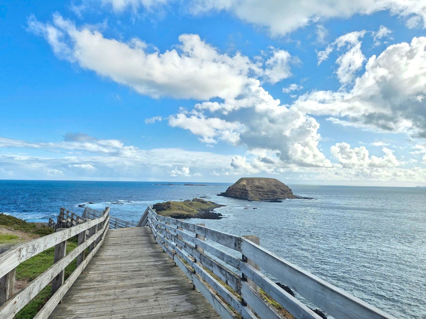 TOUR PHILLIP ISLAND