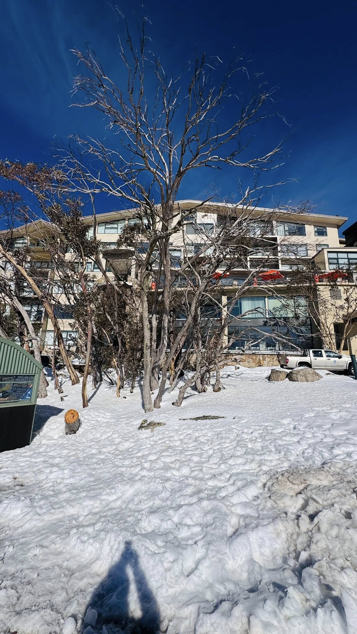 TOUR TUYẾT MT BULLER