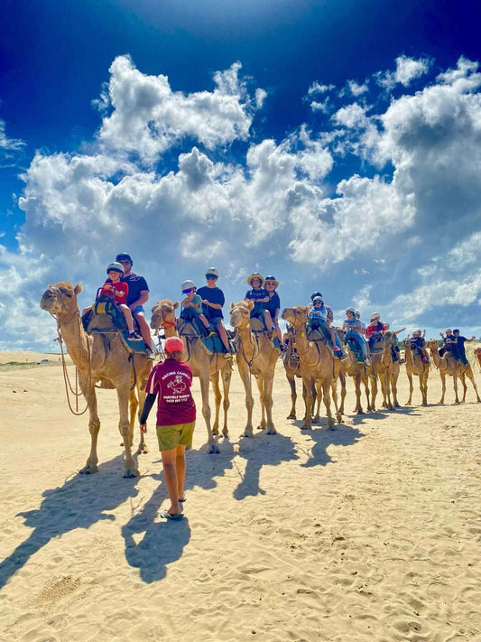 TOUR NELSON BAY – CƯỠI LẠC ĐÀ & NGẮM CÁ HEO