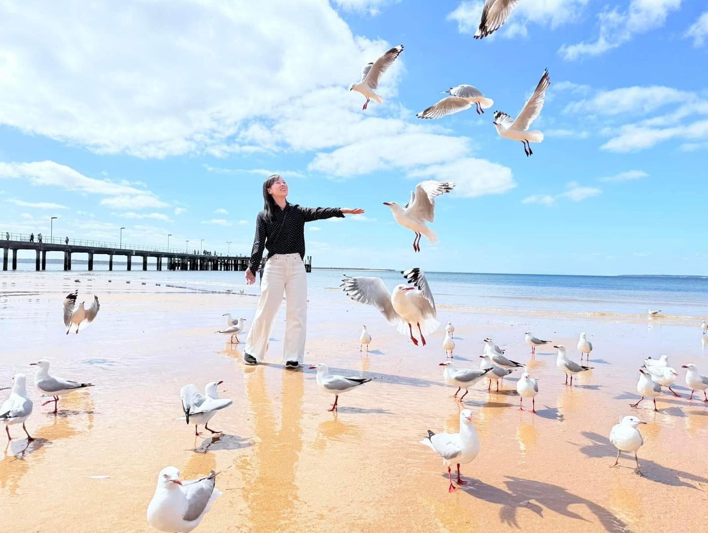 TOUR PHILLIP ISLAND