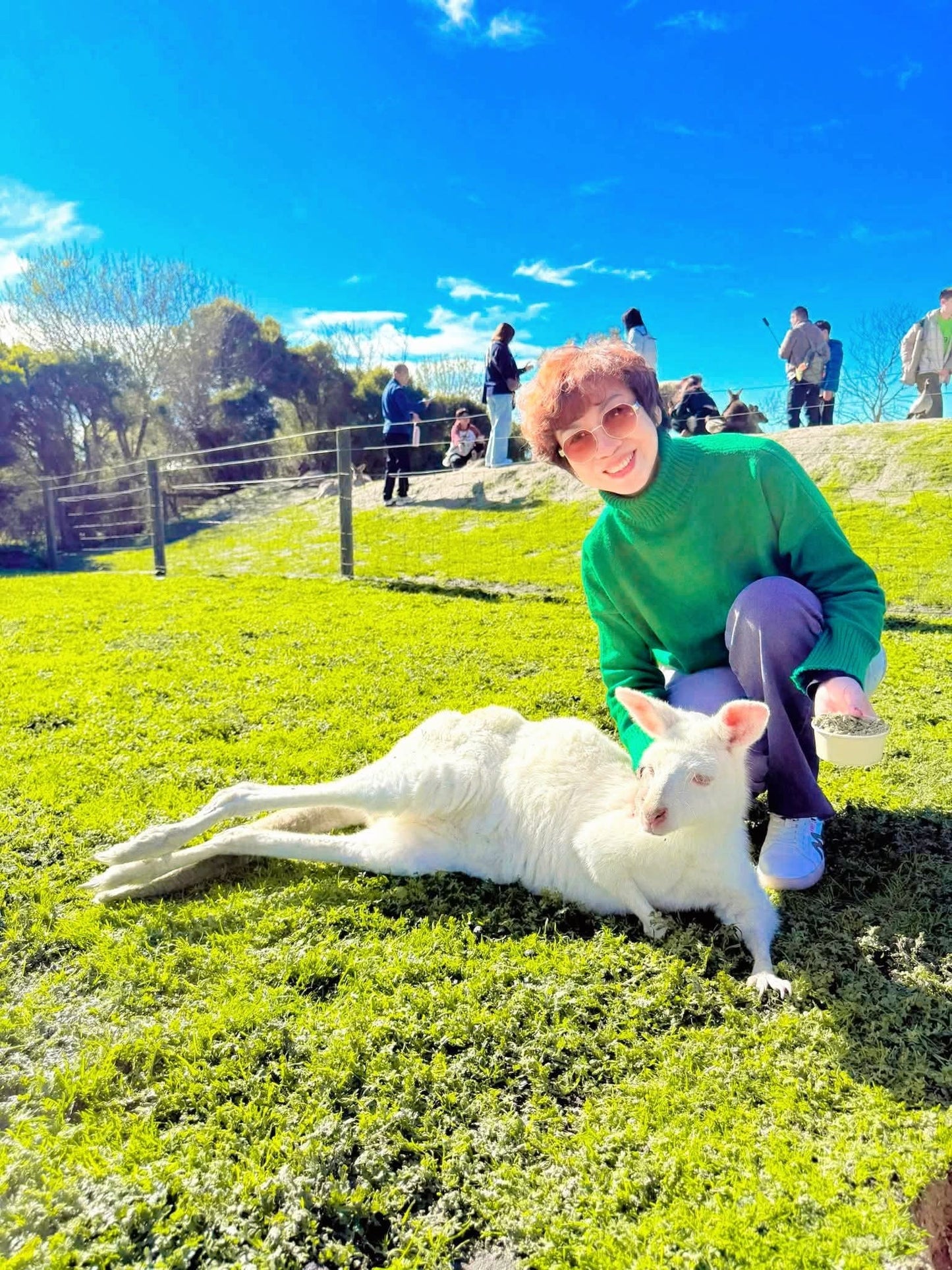 TOUR PHILLIP ISLAND