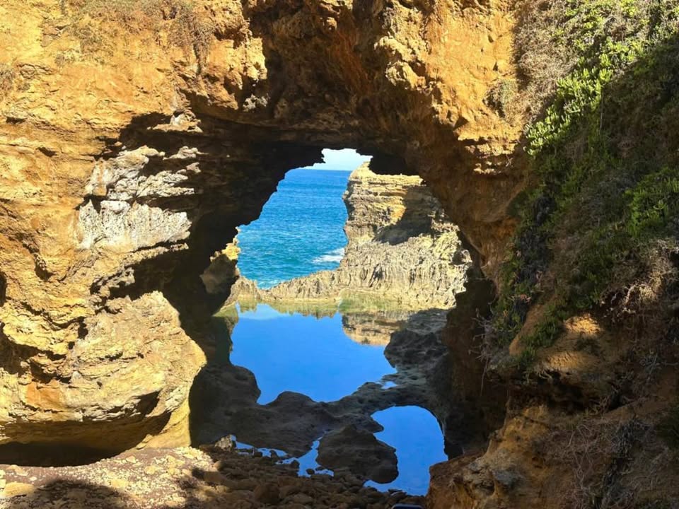 TOUR PHILLIP ISLAND