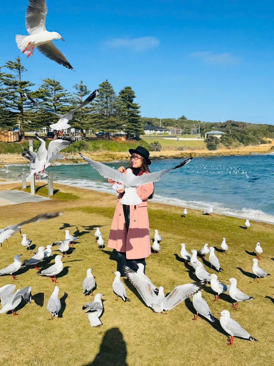 TOUR PHILLIP ISLAND