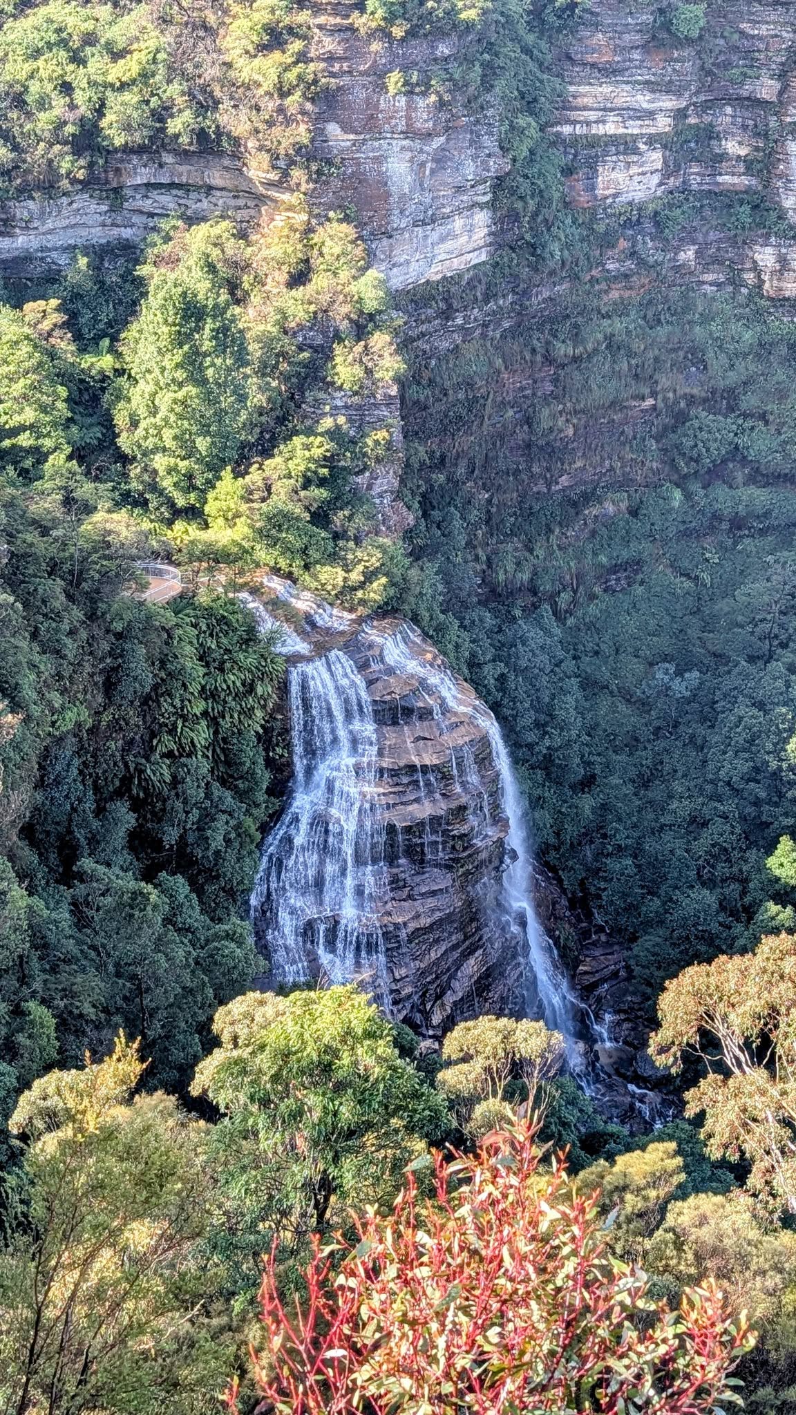 TOUR RỪNG NÚI BLUE MOUNTAINS
