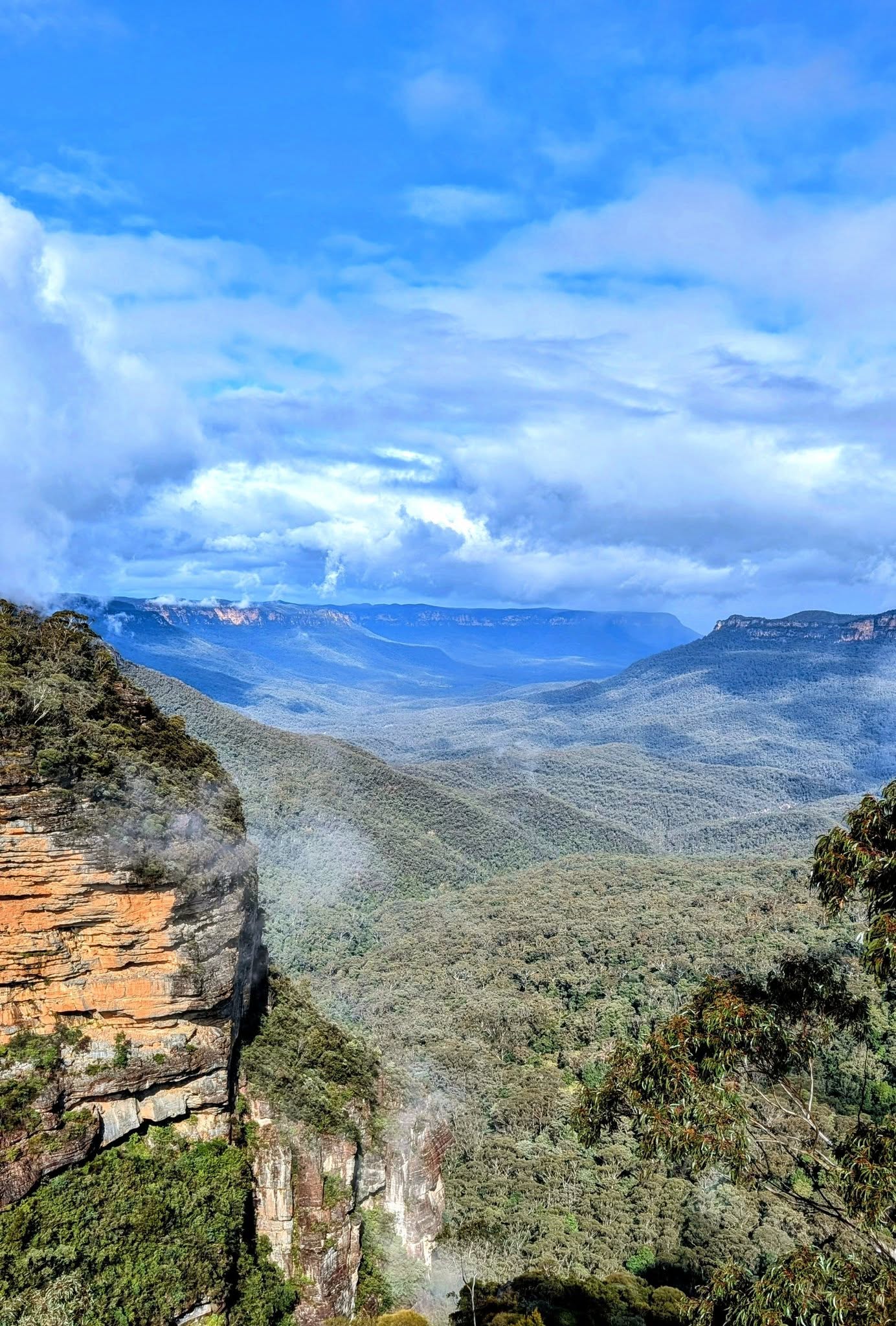 TOUR RỪNG NÚI BLUE MOUNTAINS