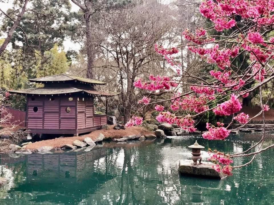TOUR RỪNG NÚI BLUE MOUNTAINS