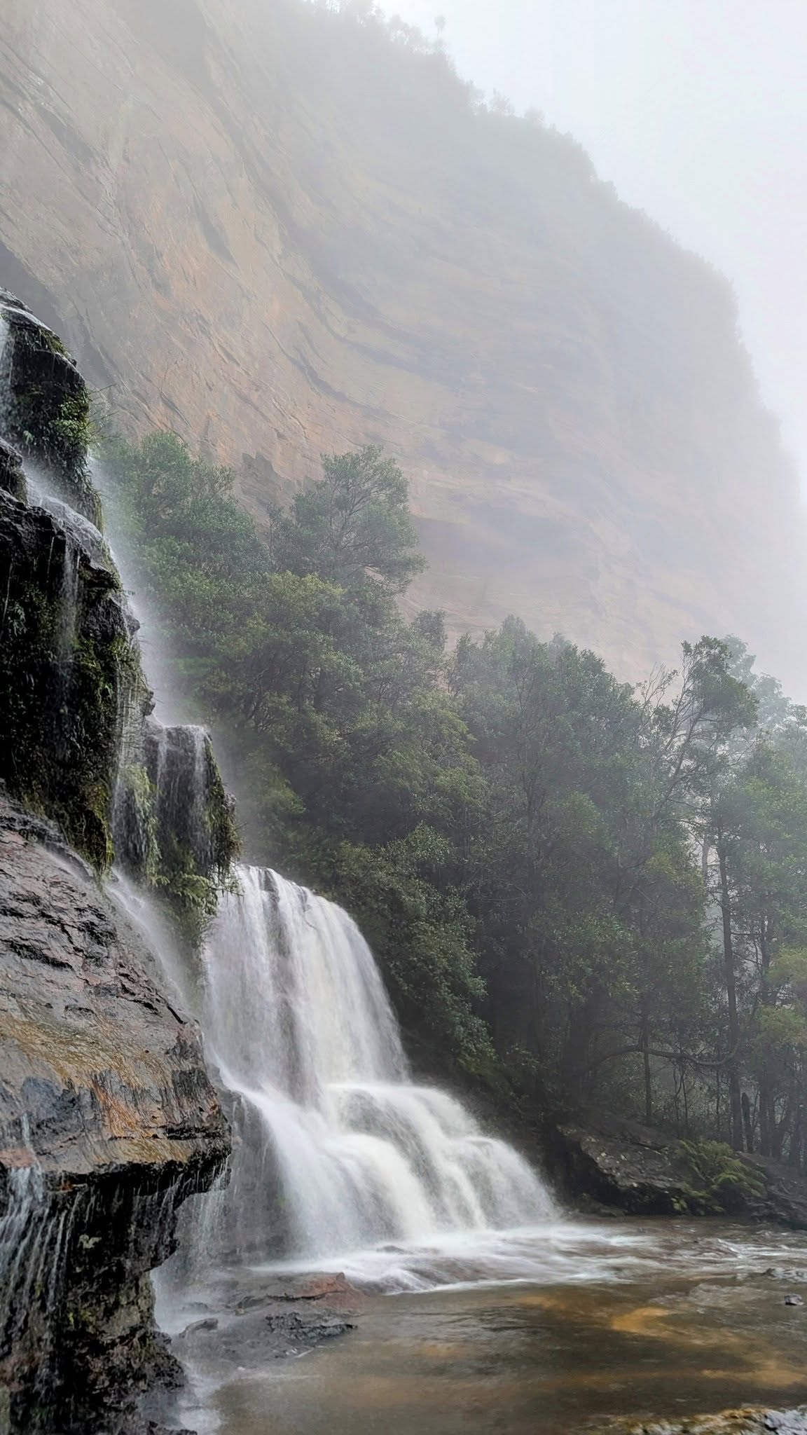 TOUR RỪNG NÚI BLUE MOUNTAINS
