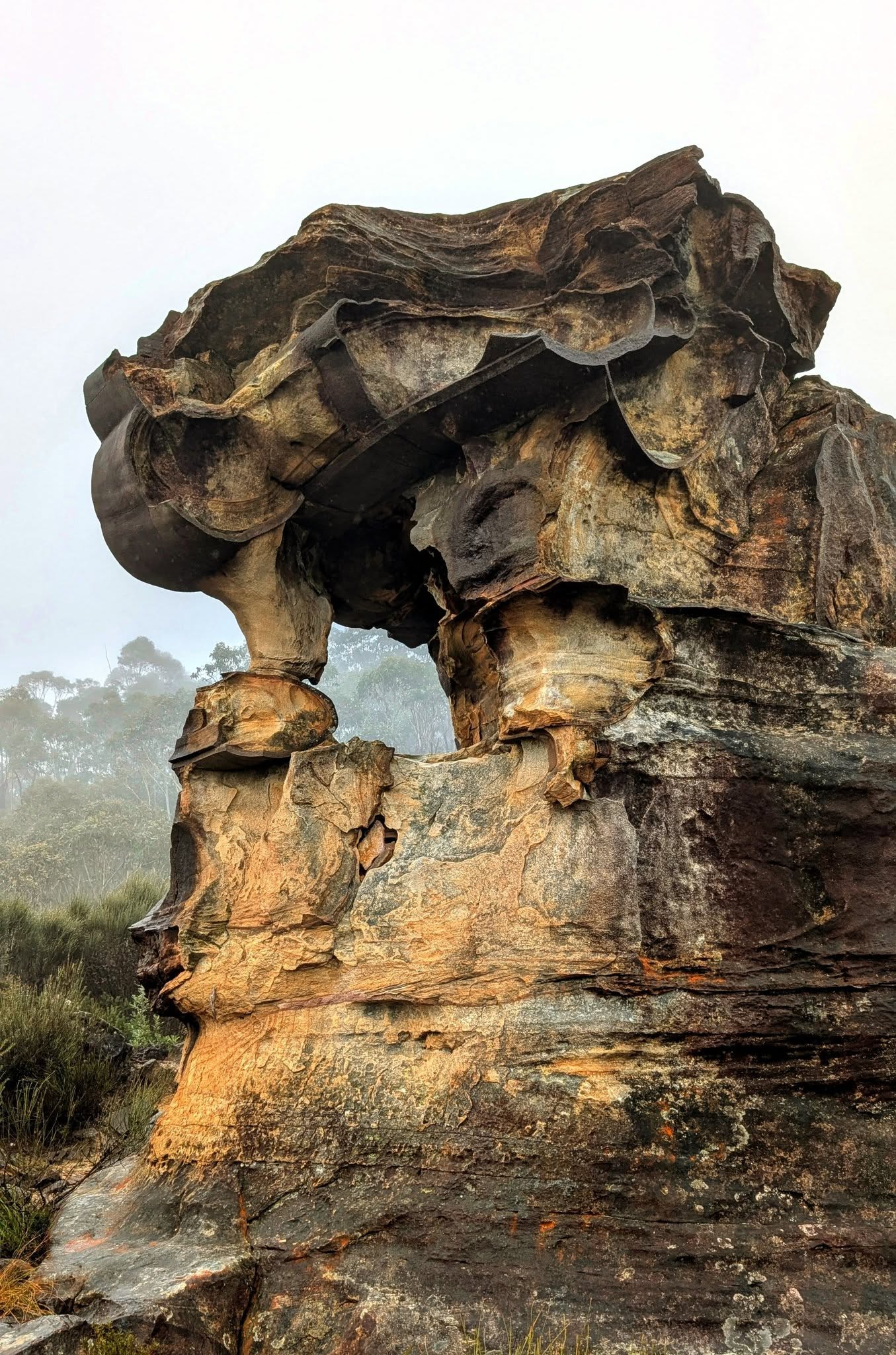 TOUR RỪNG NÚI BLUE MOUNTAINS