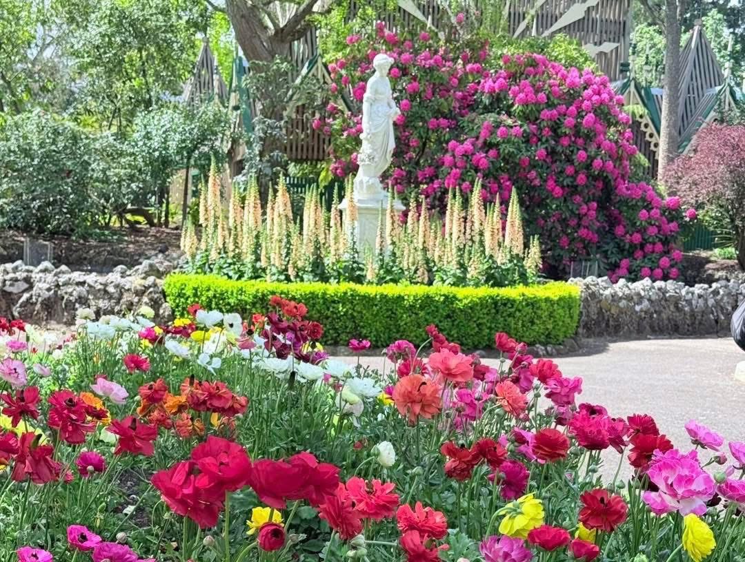 🏛 TOUR ĐÀO VÀNG BALLARAT