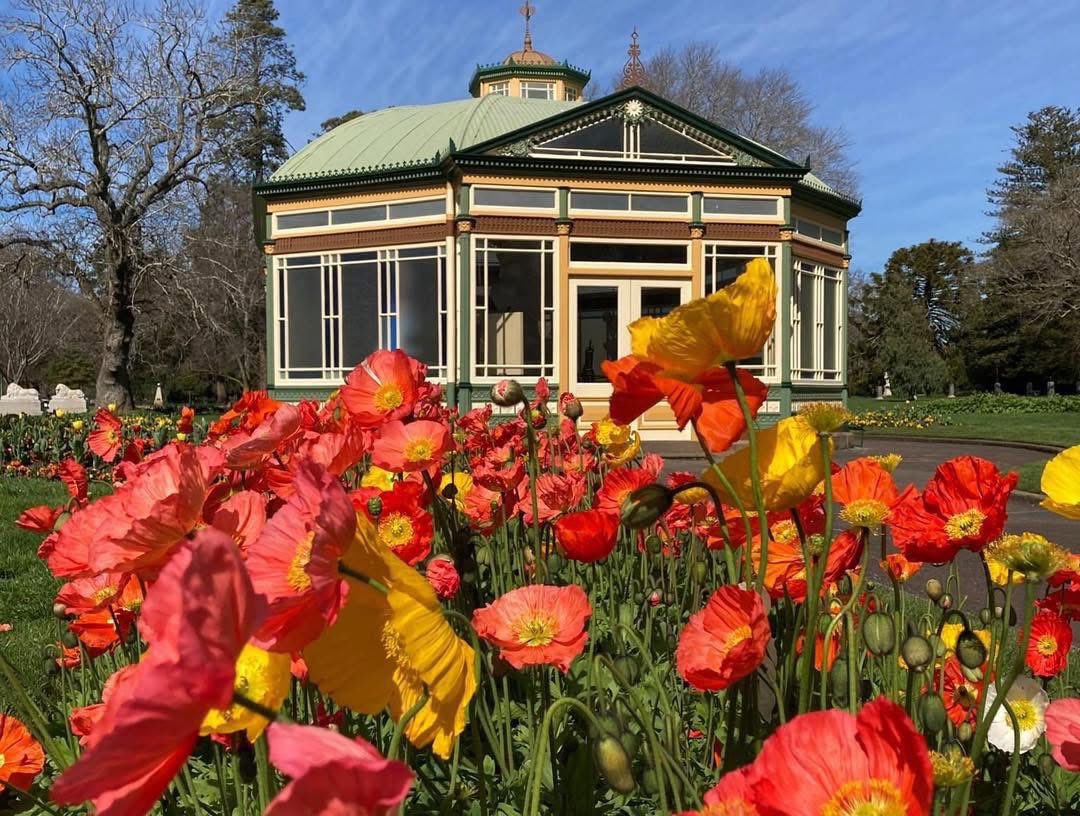 🏛 TOUR ĐÀO VÀNG BALLARAT