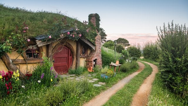 TOUR NEW ZEALAND