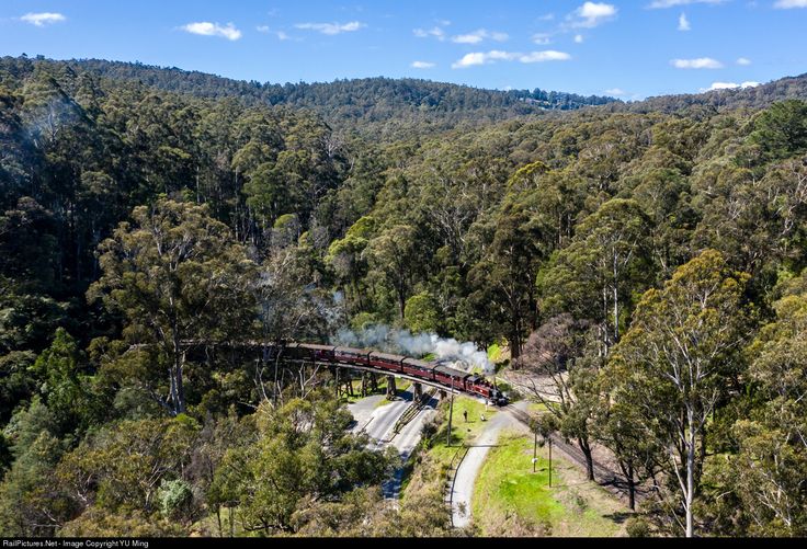 TOUR TÀU CỔ PUFFING BILLY