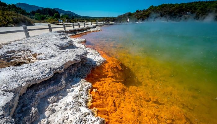 TOUR NEW ZEALAND KHÁM PHÁ ĐẢO BẮC 4N3Đ