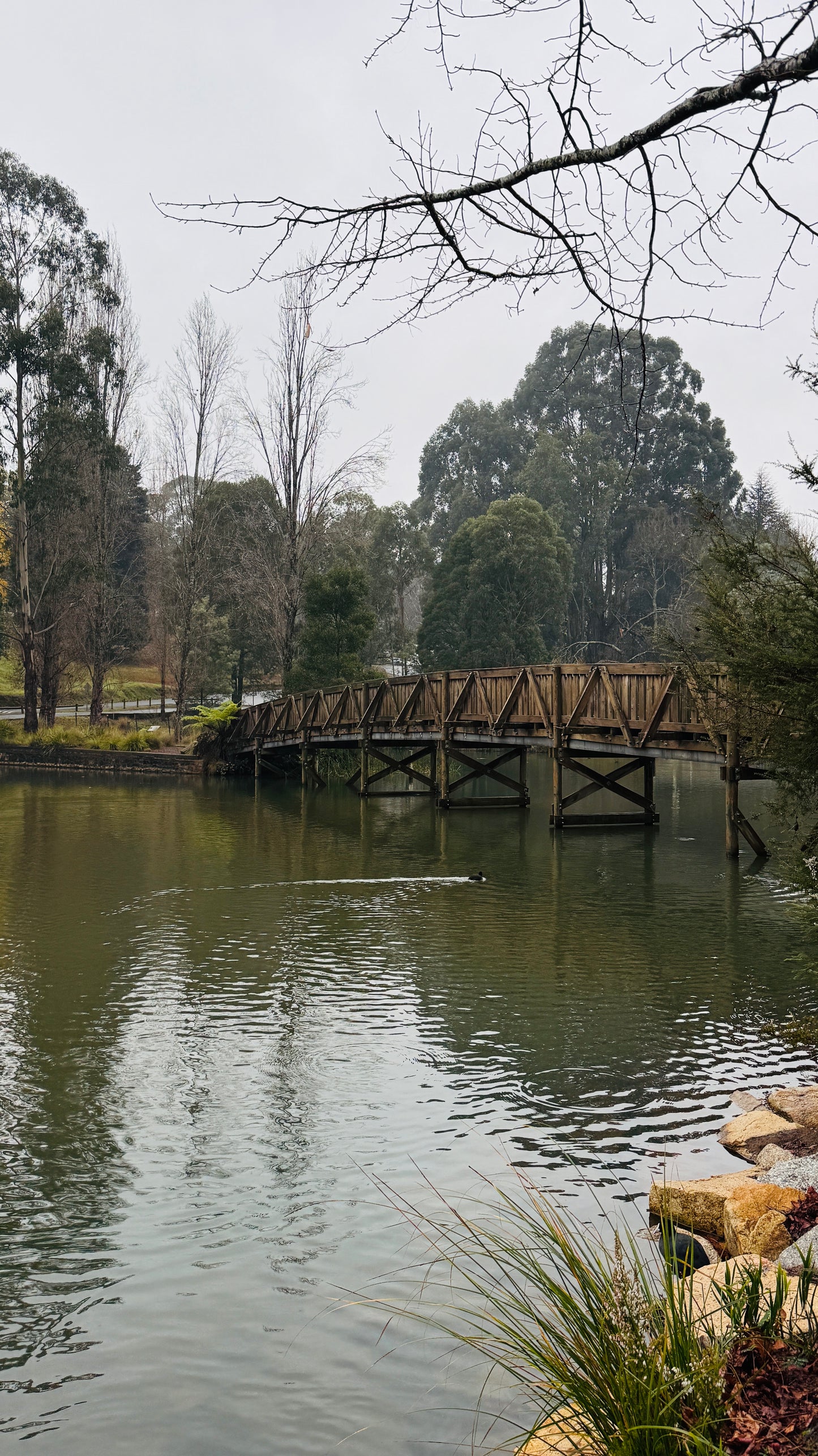 TOUR TÀU CỔ PUFFING BILLY