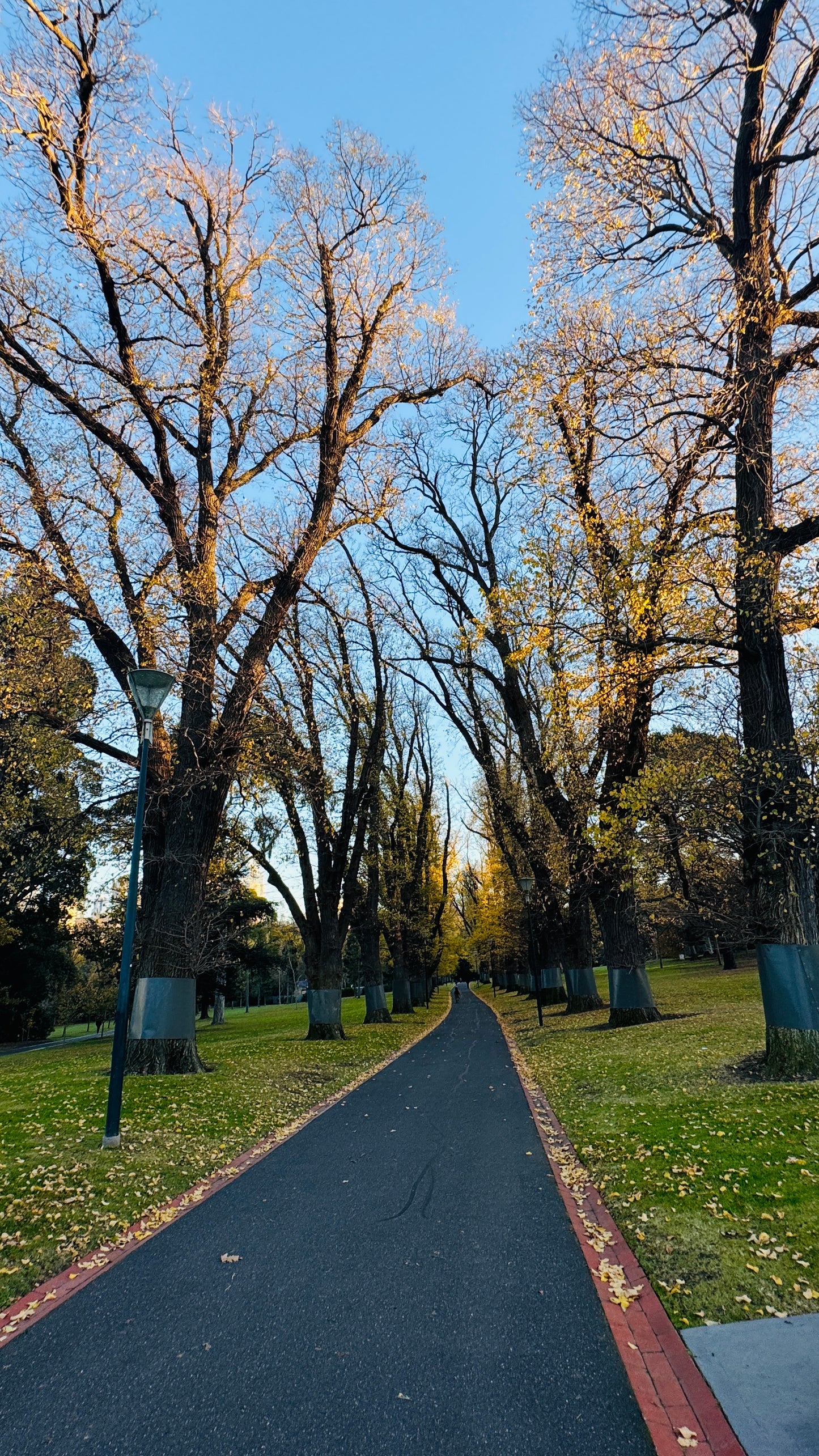 TOUR MELBOURNE CITY