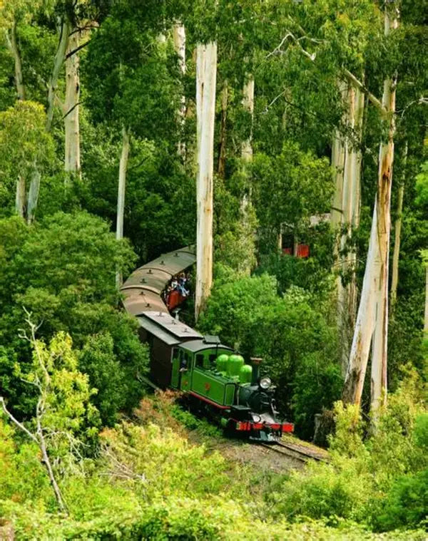 TOUR TÀU CỔ PUFFING BILLY
