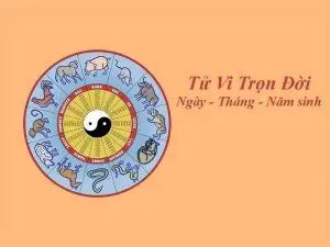 CHẤM TỬ VI TRỌN ĐỜI