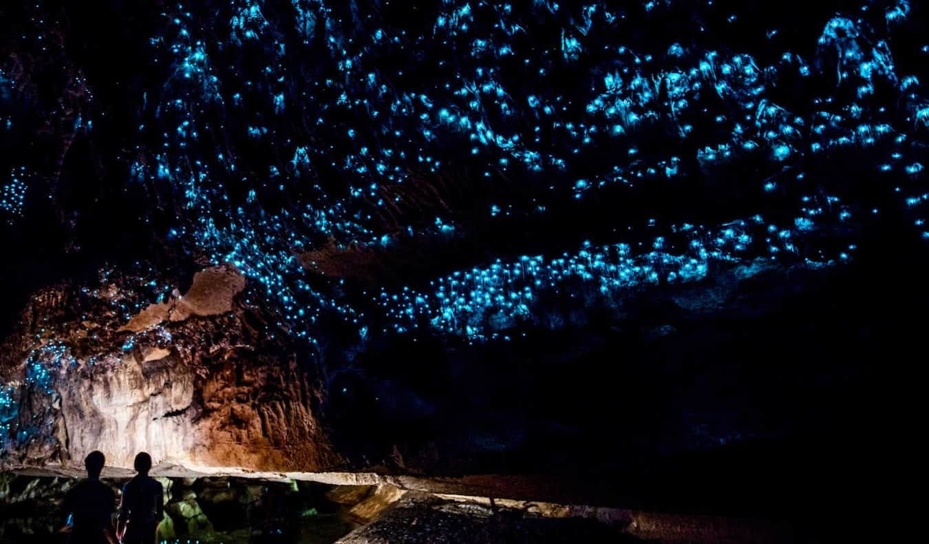 TOUR NEW ZEALAND