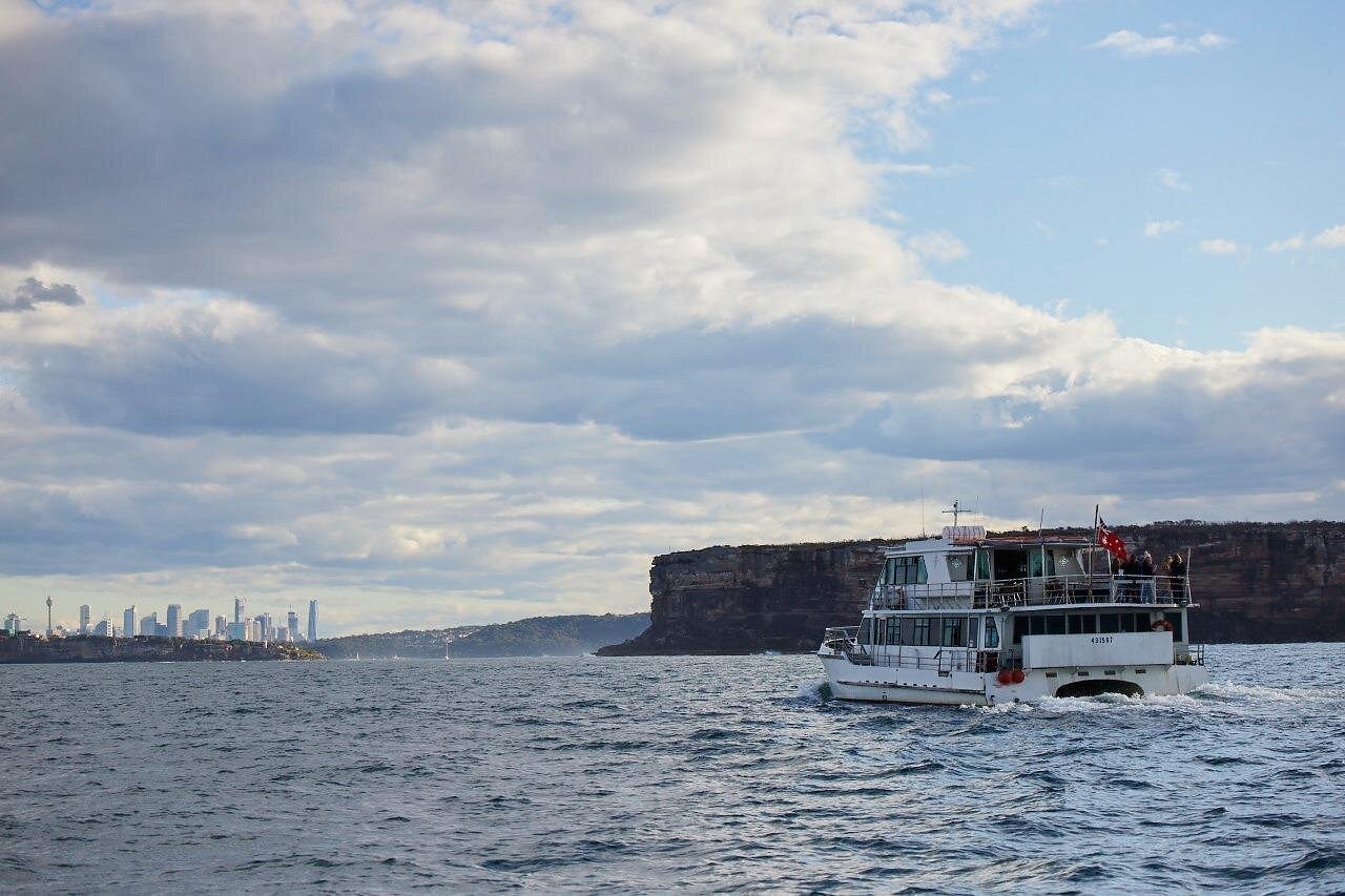 TOUR XEM CÁ VOI VÀ ĂN TRƯA BBQ CẢNG SYDNEY