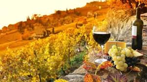 TOUR ĐỒNG QUÊ HUNTER VALLEY