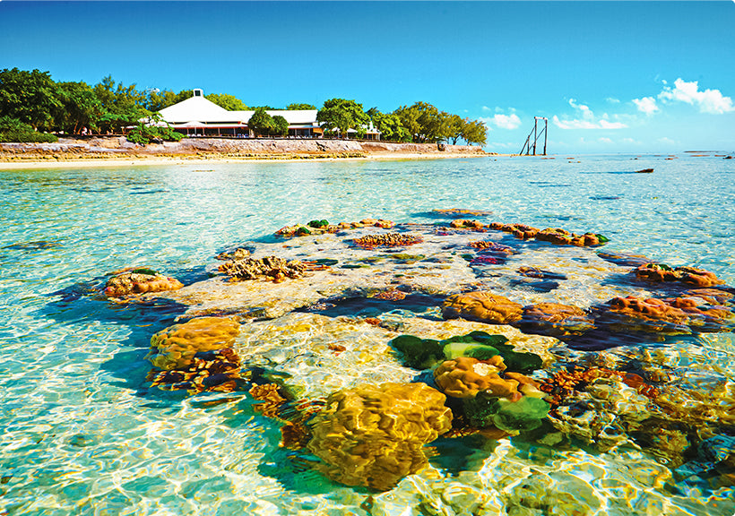 TOUR KHÁM PHÁ CAIRNS – THIÊN ĐƯỜNG NHIỆT ĐỚI BẮC ÚC (6 NGÀY 5 ĐÊM)