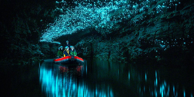 TOUR NEW ZEALAND