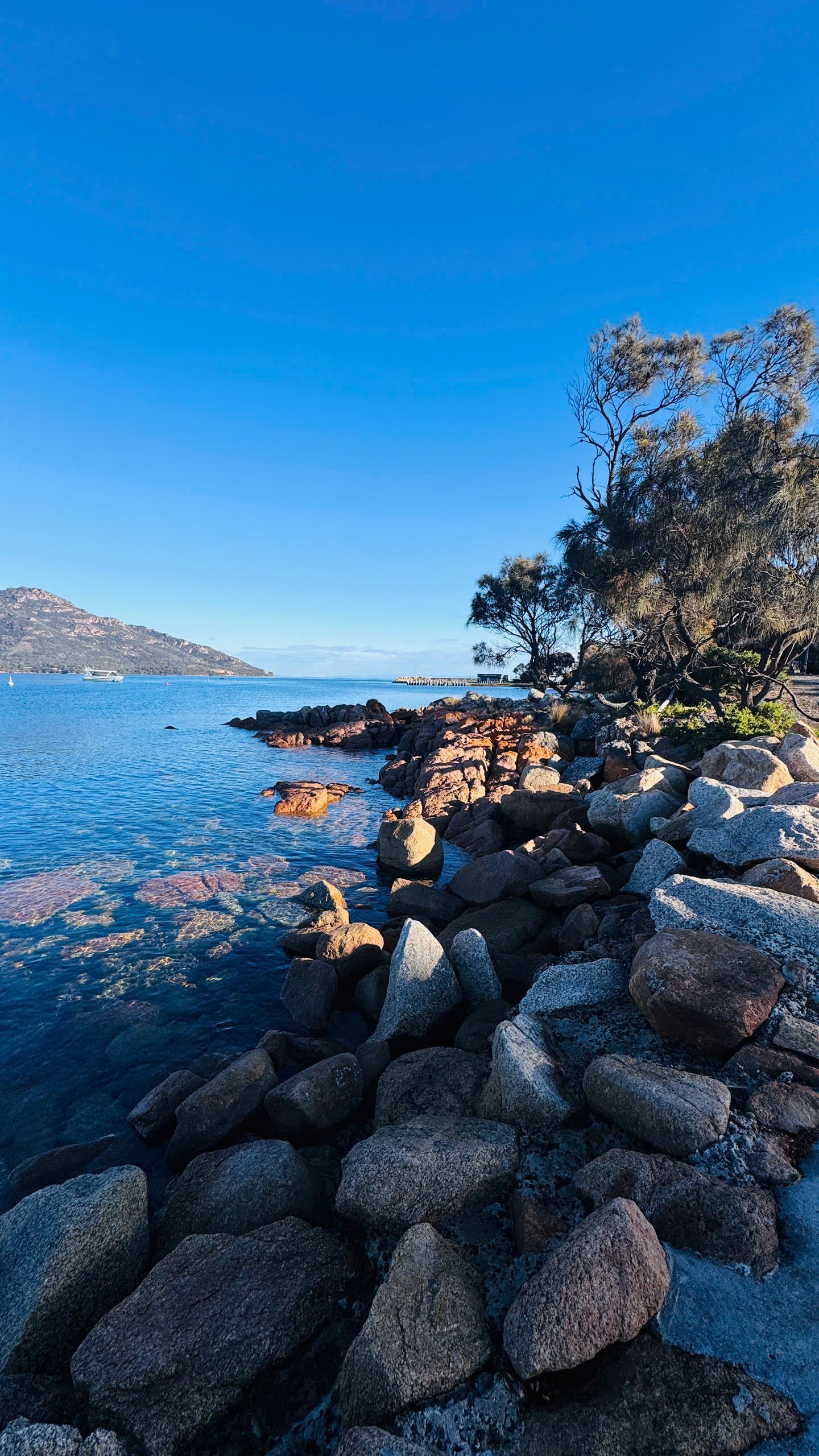 TOUR TASMANIA BẰNG MOBIHOME