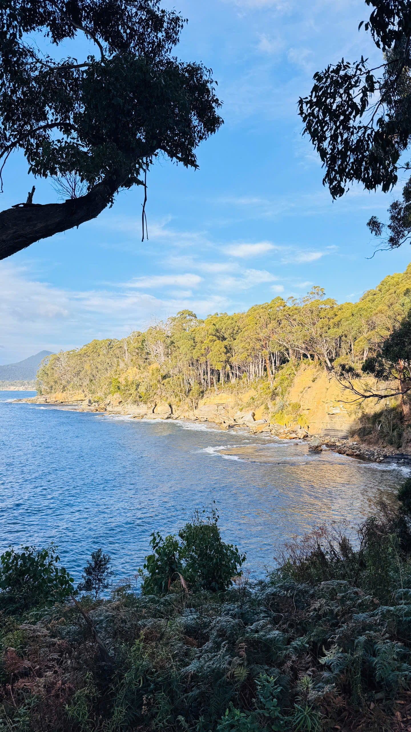 TOUR TASMANIA BẰNG MOBIHOME