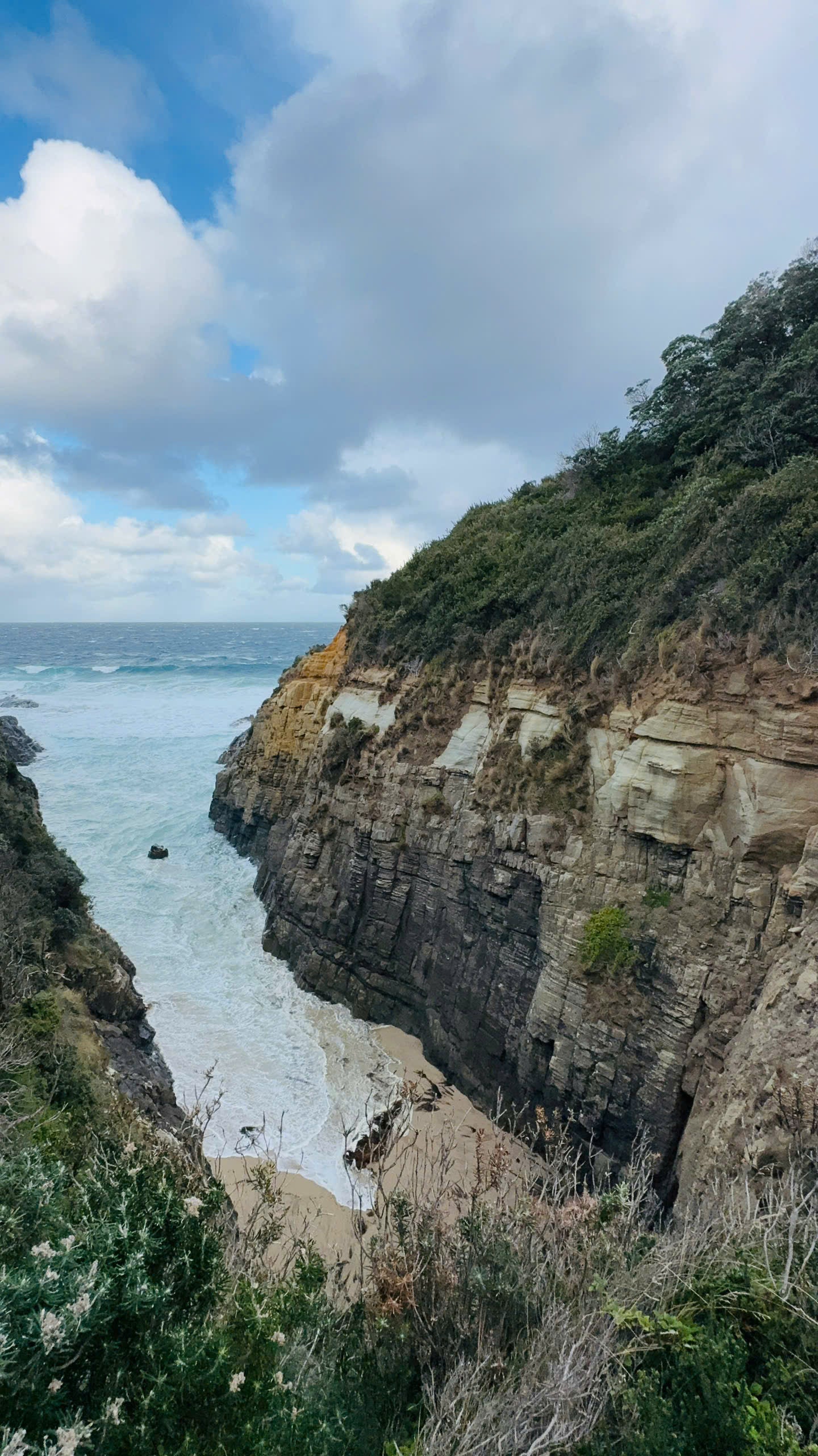 TOUR TASMANIA BẰNG MOBIHOME