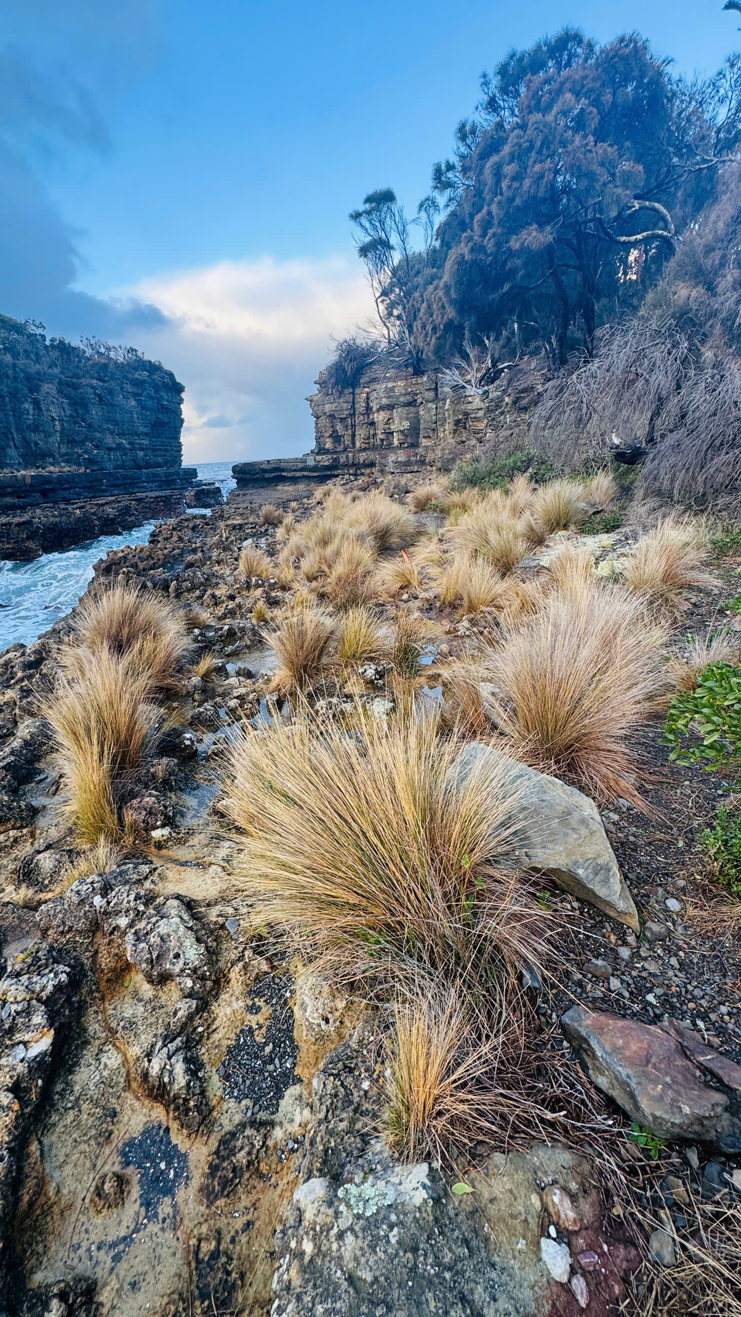 TOUR TASMANIA BẰNG MOBIHOME
