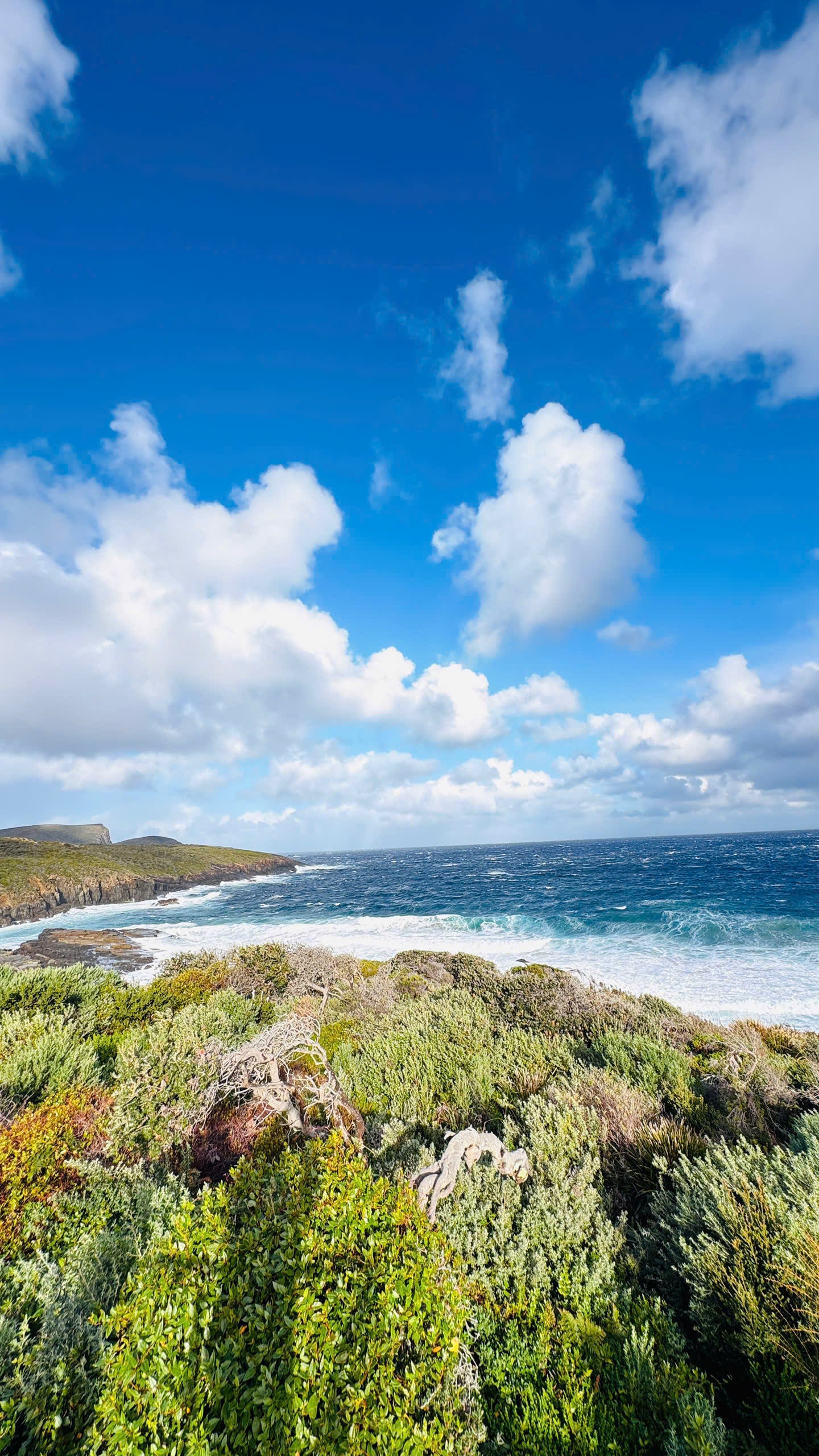 TOUR TASMANIA BẰNG MOBIHOME