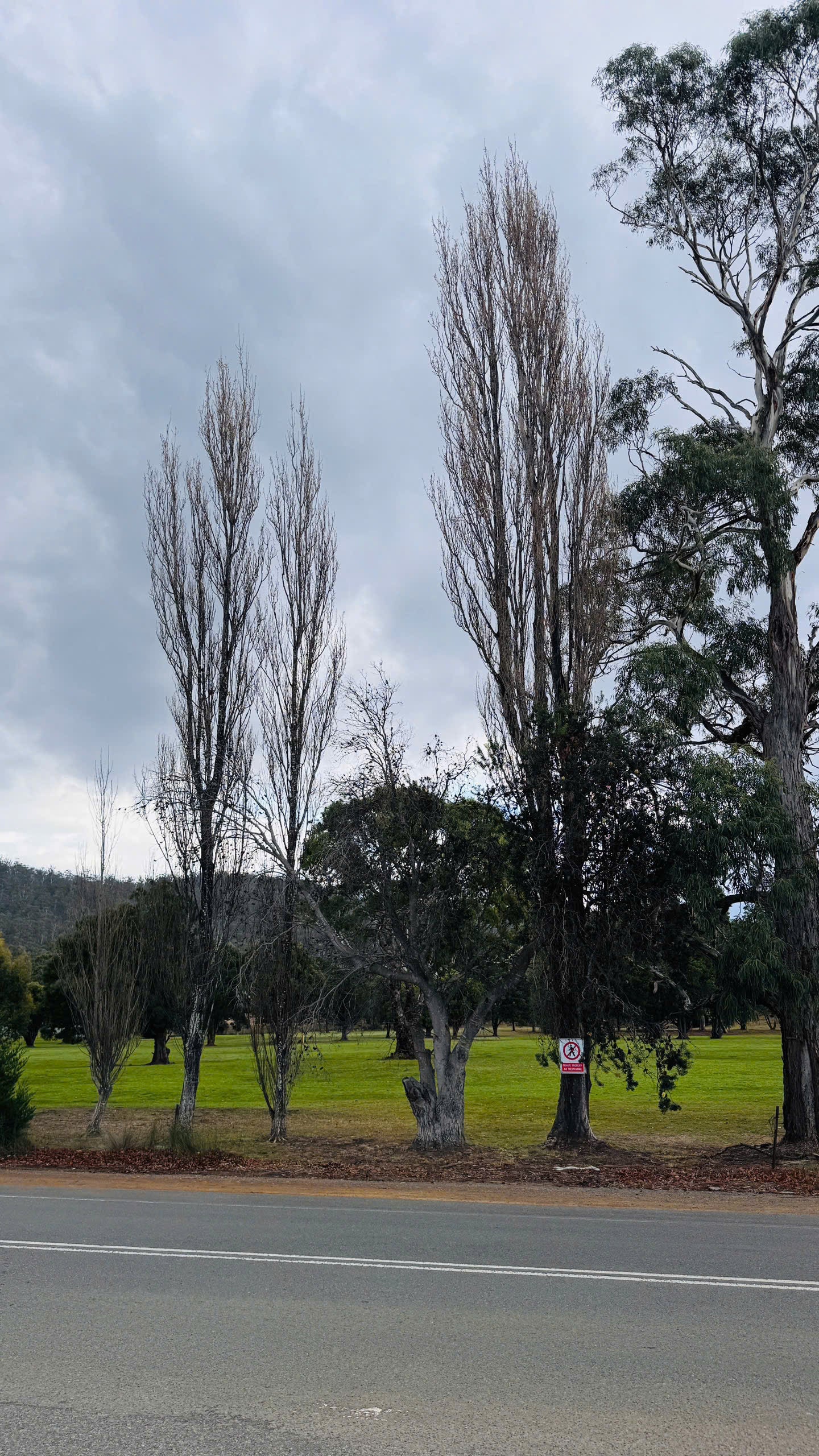 TOUR TASMANIA BẰNG MOBIHOME