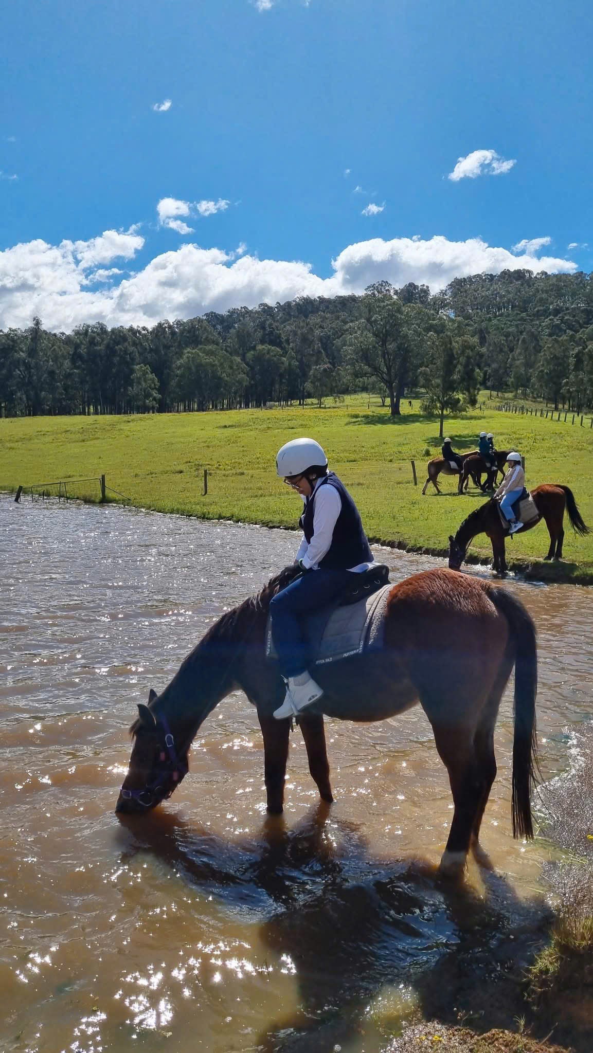 TOUR ĐỒNG QUÊ HUNTER VALLEY