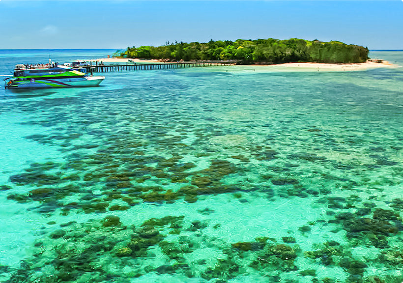 TOUR KHÁM PHÁ CAIRNS – THIÊN ĐƯỜNG NHIỆT ĐỚI BẮC ÚC (6 NGÀY 5 ĐÊM)