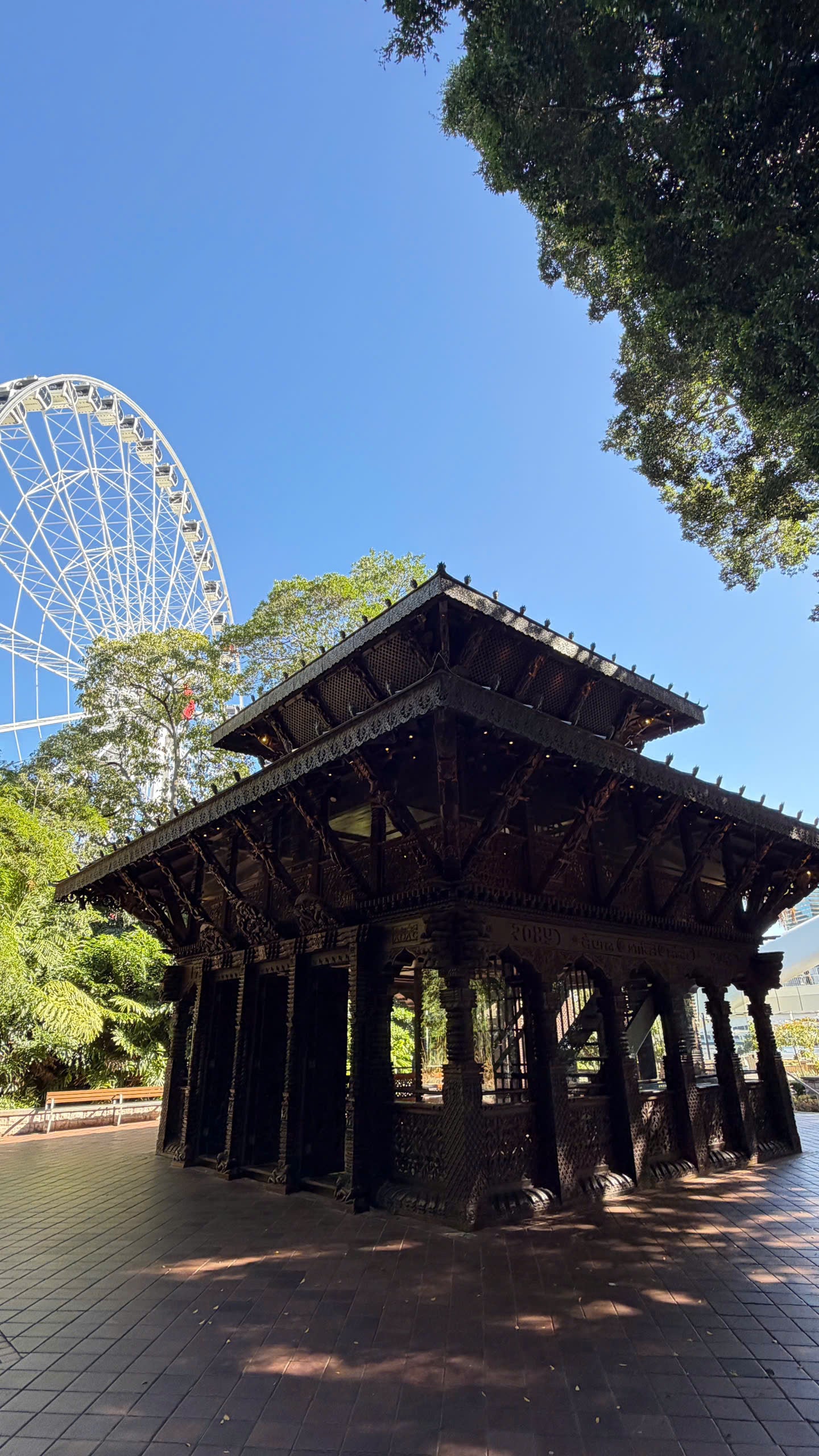 BRISBANE CITY TOUR
