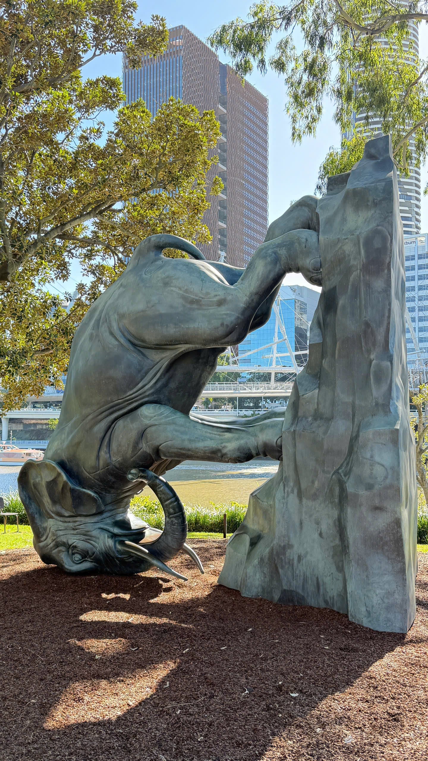 BRISBANE CITY TOUR