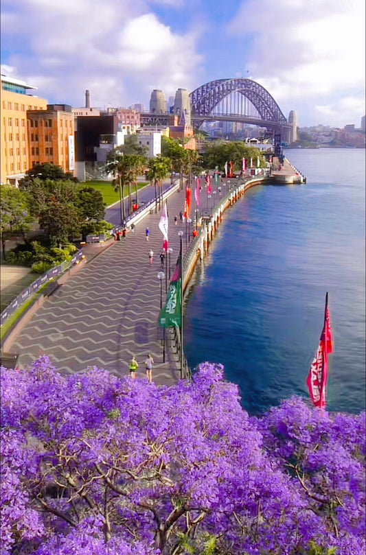 TOUR SYDNEY CITY