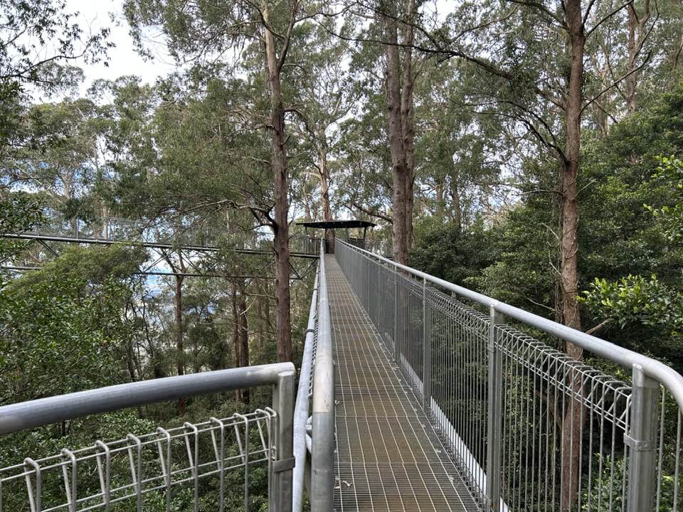 Tour Khám Phá Bến Du Thuyền và Cầu Treo Siêu Đẹp
