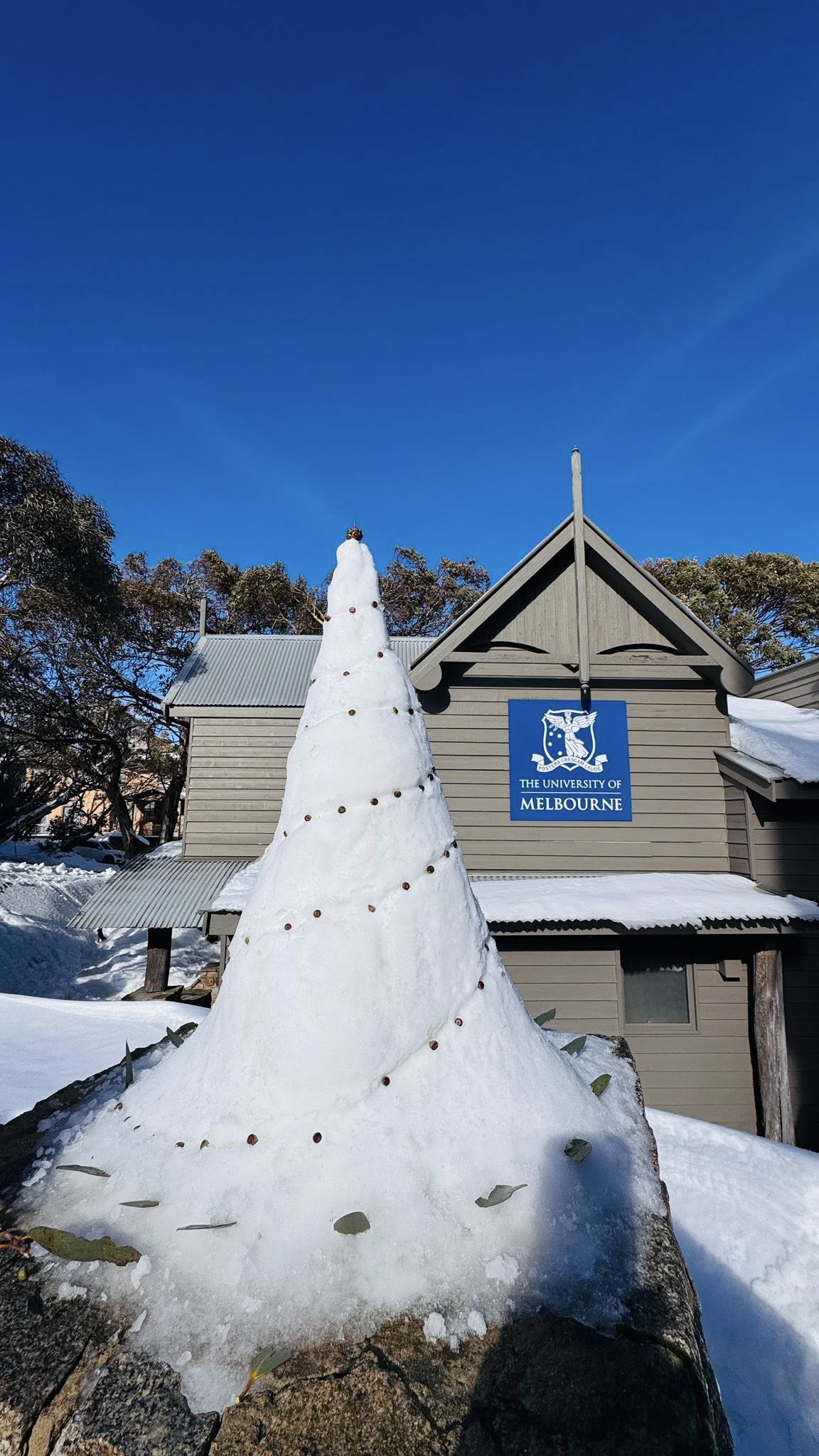 TOUR TUYẾT MT BULLER