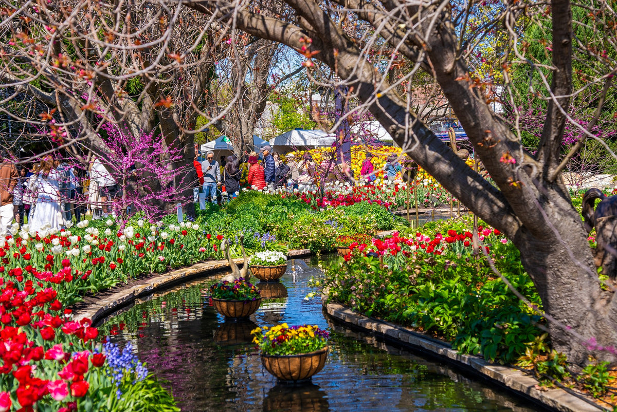 TOUR CAO NGUYÊN  SOUTHERN HIGHLANDS - TULIP THÁNG 9-10