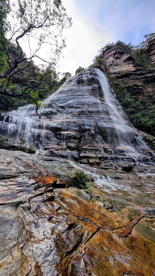 TOUR RỪNG NÚI BLUE MOUNTAINS