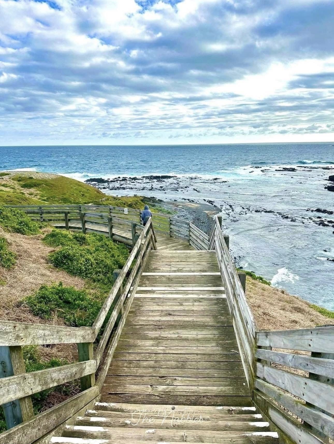 TOUR PHILLIP ISLAND  – KHÁM PHÁ THIÊN NHIÊN HOANG DÃ NƯỚC ÚC