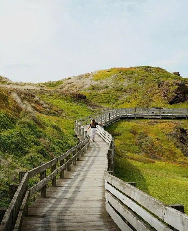TOUR PHILLIP ISLAND  – KHÁM PHÁ THIÊN NHIÊN HOANG DÃ NƯỚC ÚC